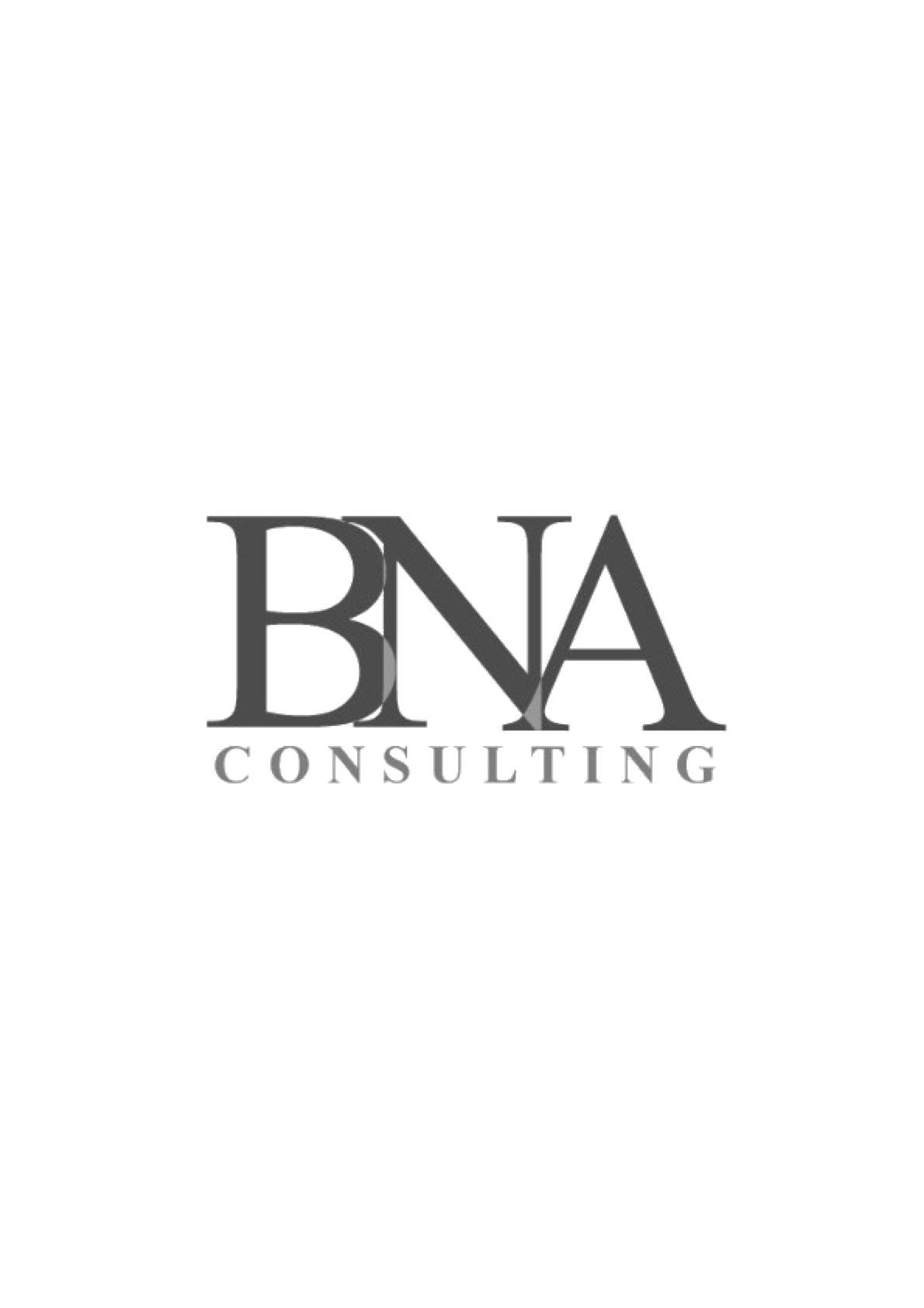 BNA Consulting Services Ltd logo